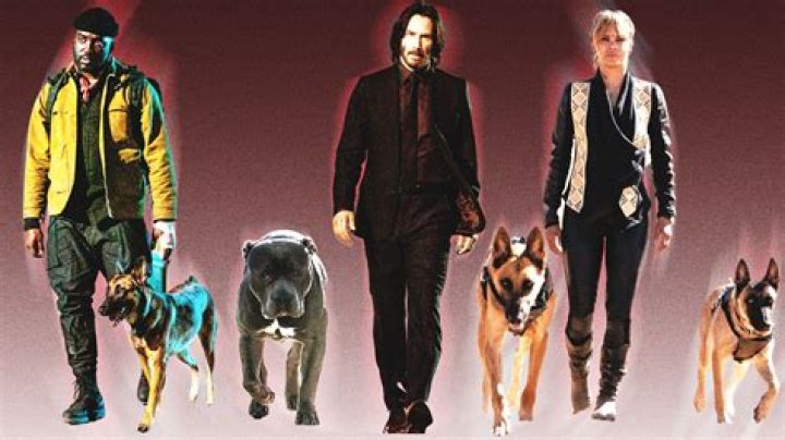 Exploring the Unique Identity: What Type of Dog is Dogpool?