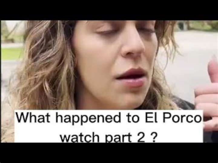 Unveiling The Enigmatic World Of El Porco Mercenary: Discoveries And Insights